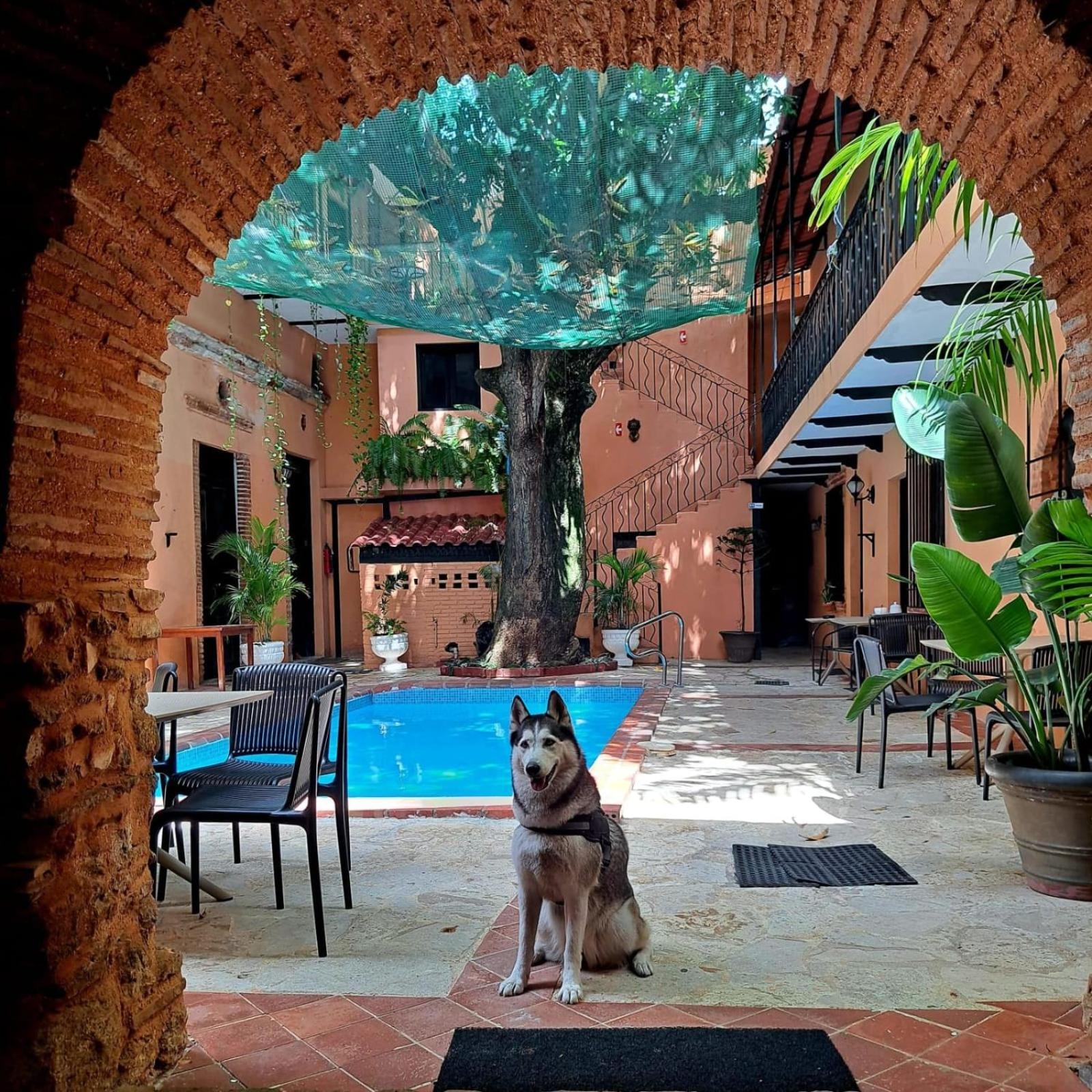 Historic Colonial Boutique Hotel Pool Jacuzzi Bar Restaurant By Aa Group Santo Domingo Zewnętrze zdjęcie